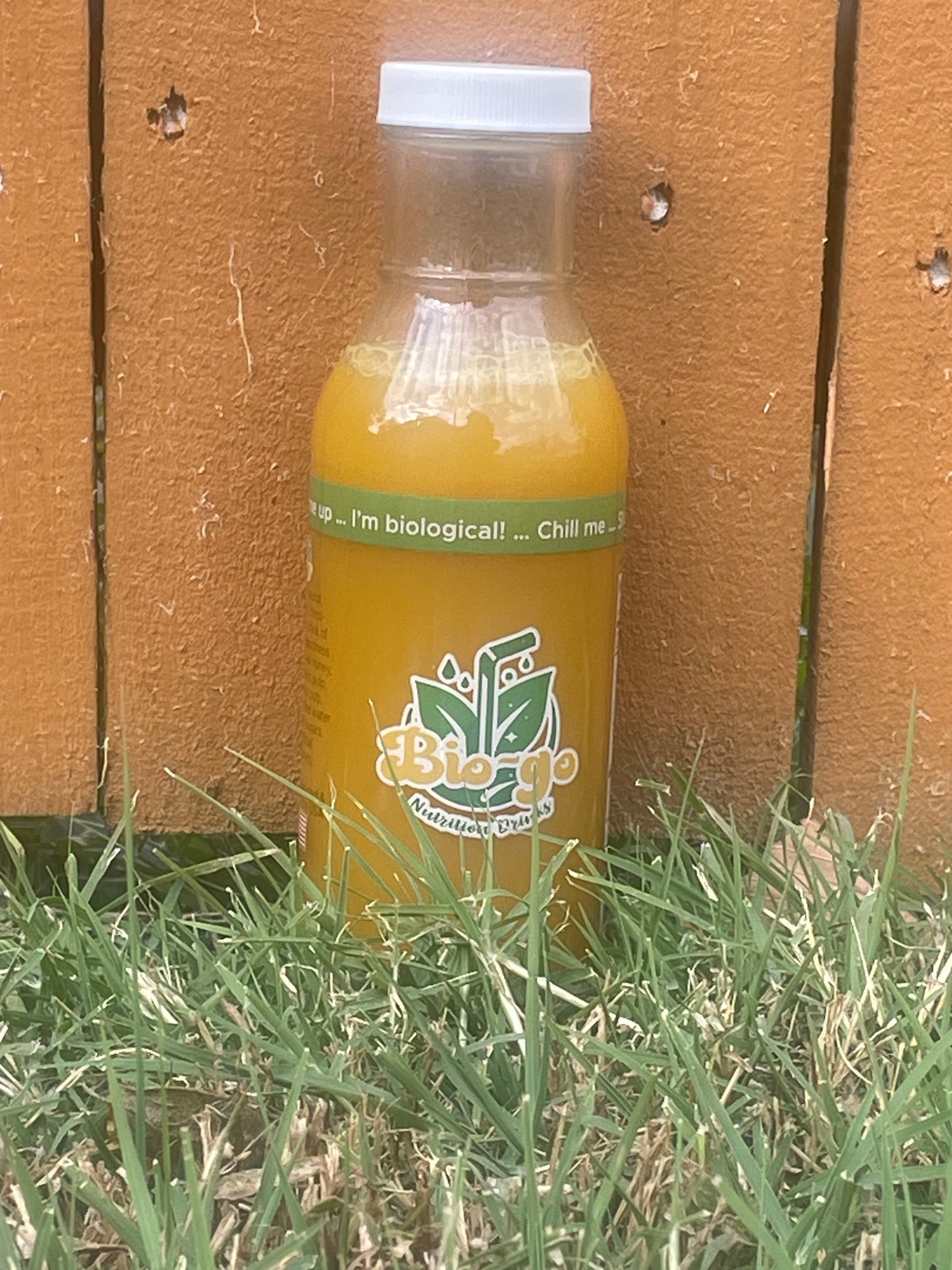FREE BOTTLE, pay shipping!