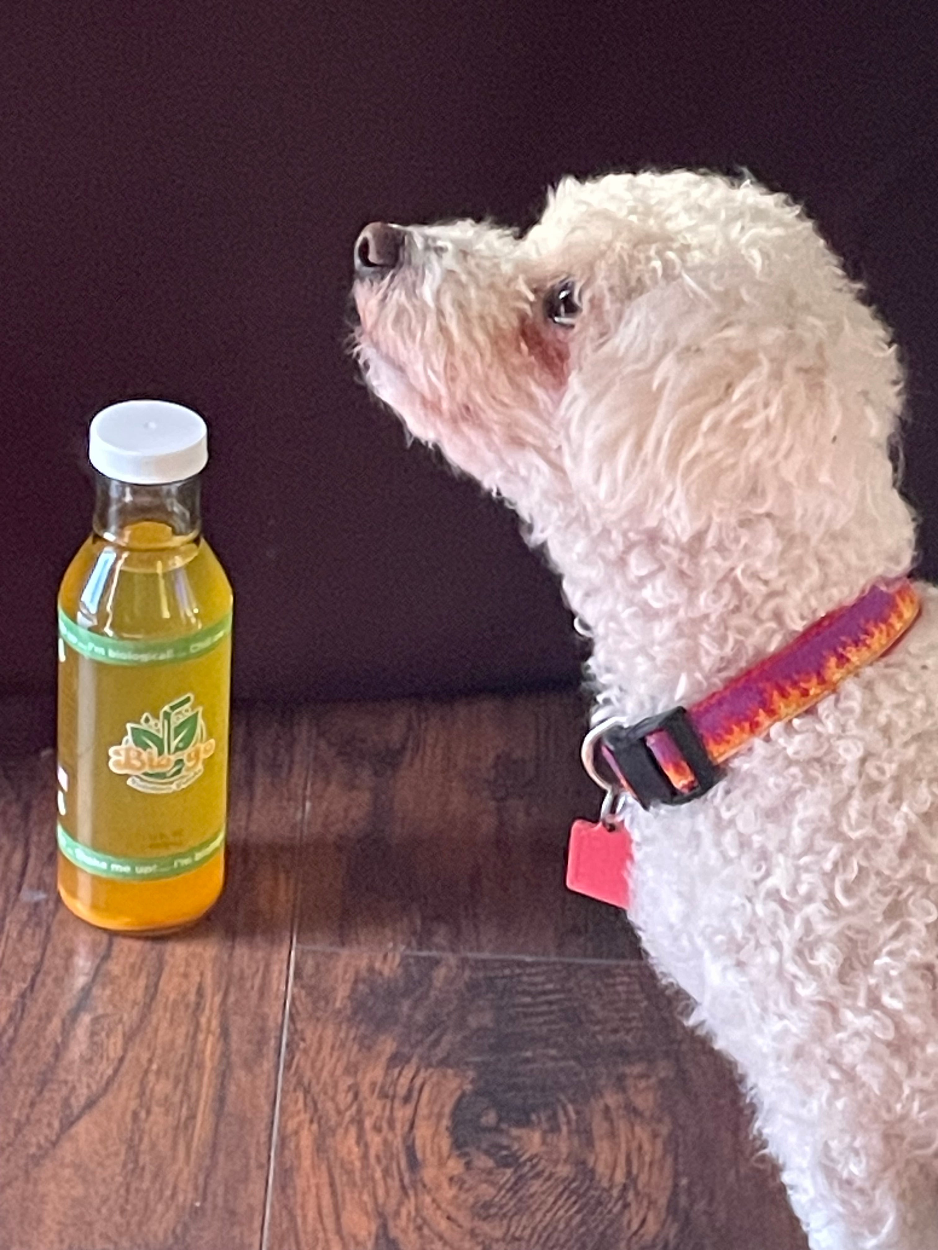 Biogo – biogo nutrition drinks