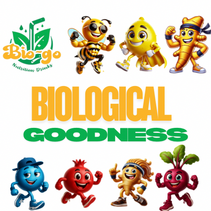BioGo Holiday Gift Box
